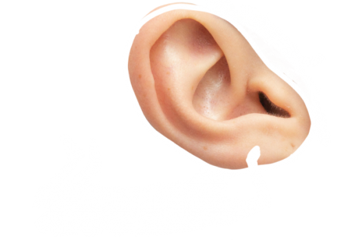 test-een-en-al-oor-mobile-v2